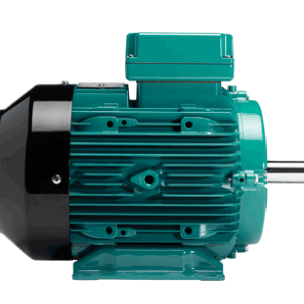 4.0 Kw 2 Pole Electric Motor